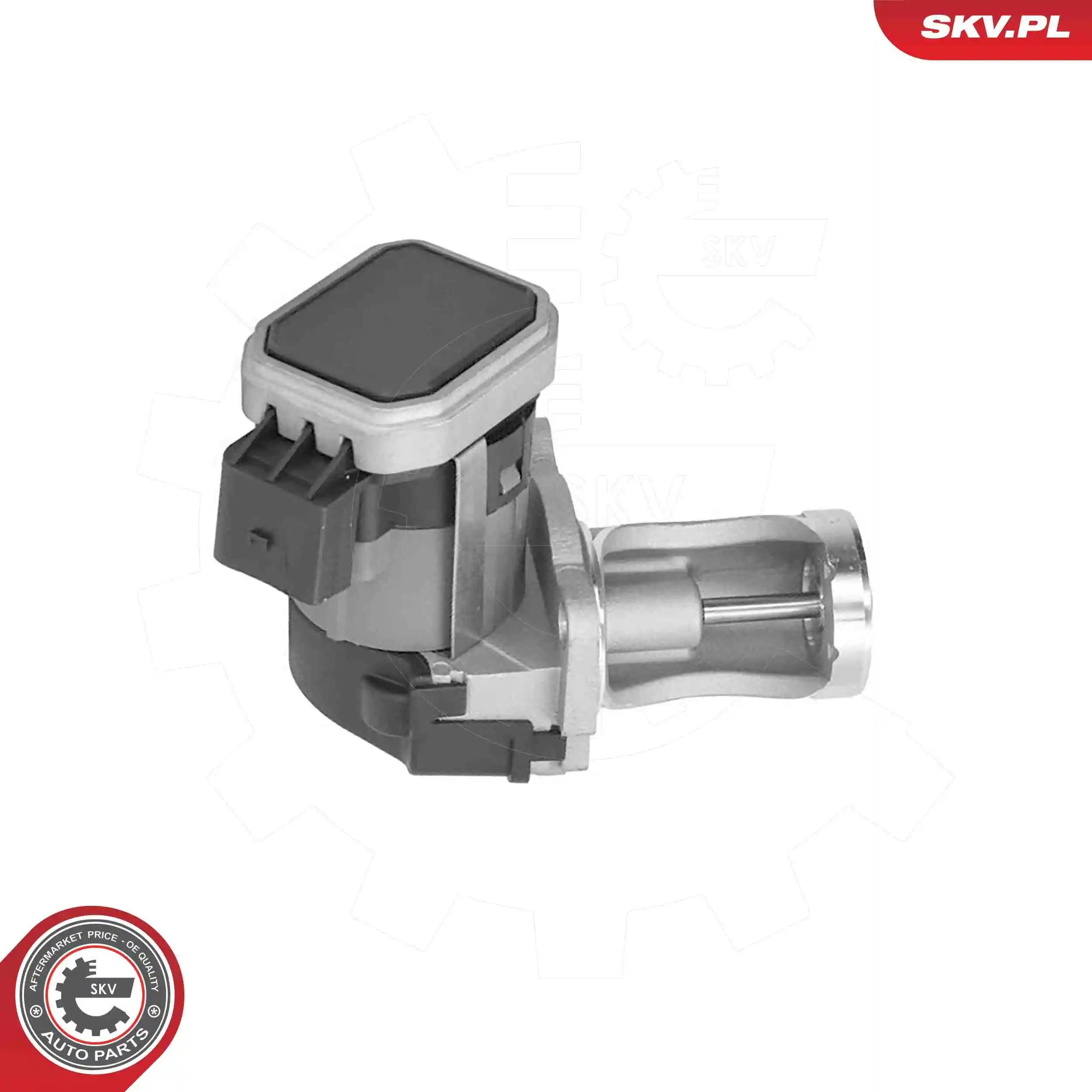 EGR Valve